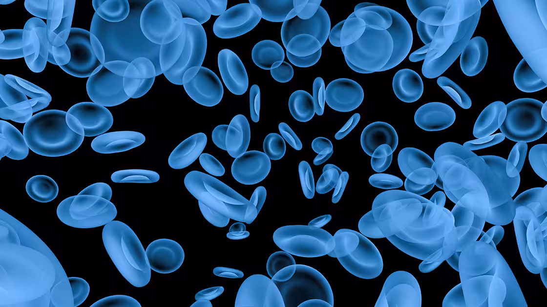 Blood platelet x-ray image